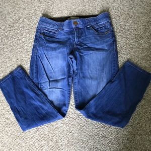 Democracy Absolution Cropped Jeggings